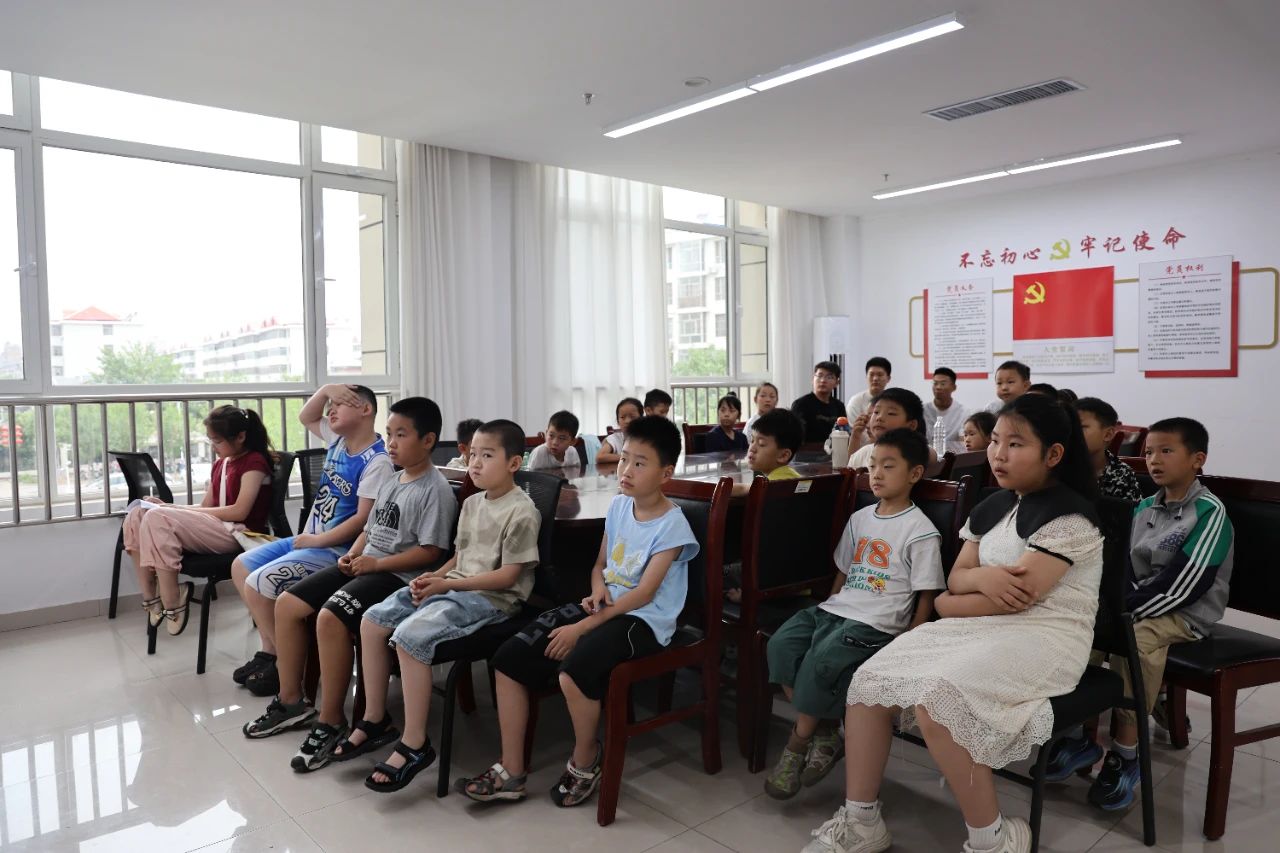 共青团“伙伴计划”示范项目——“与法同行,法育未来”青少年普法活动 ...
