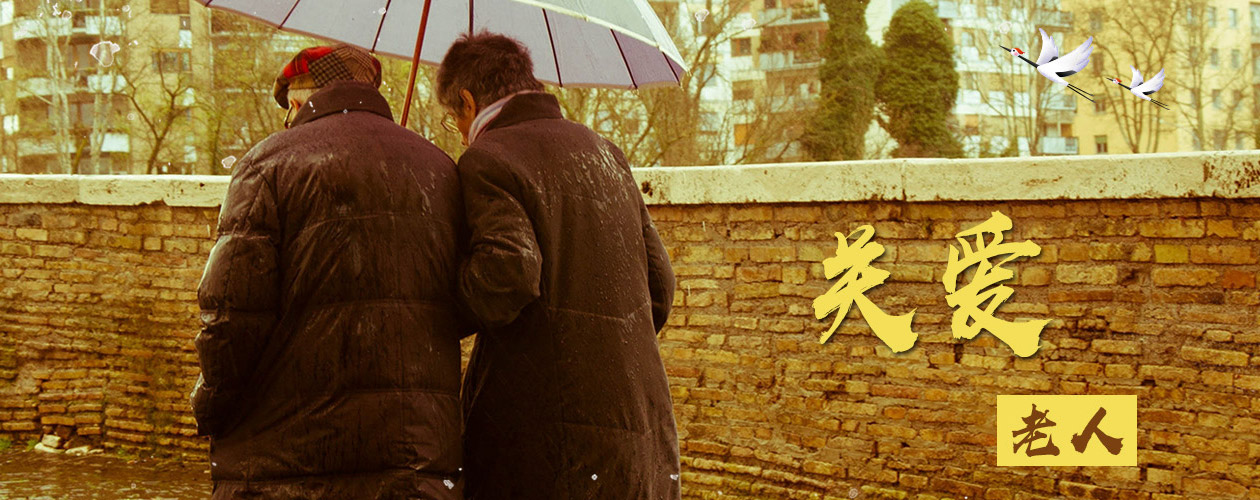 banner3